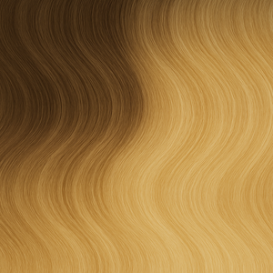 B8/60