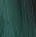 TT1B/GREEN