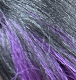 H1B/Purple