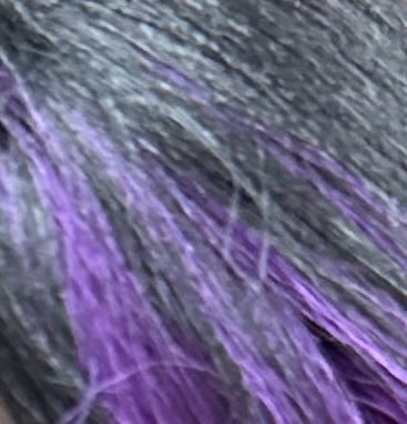 H1B/Purple